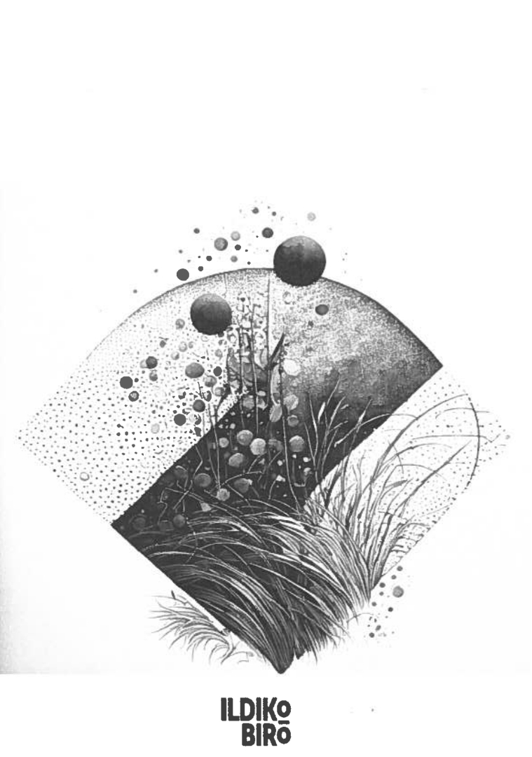 Biró Ildikó - Hungria